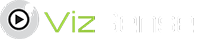VizSense Logo