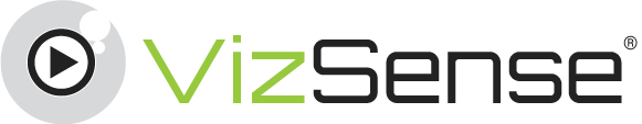 VizSense Strategy Team